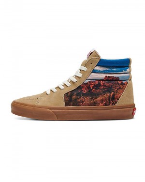 Vans Customs Image Library Desert Sk8-Hi Skor Herr Bruna | Sverige JRHB17345